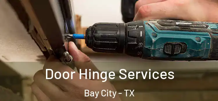  Door Hinge Services Bay City - TX