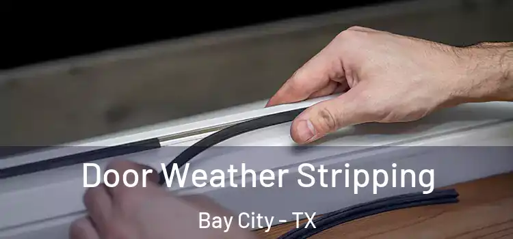  Door Weather Stripping Bay City - TX