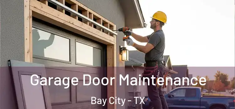 Garage Door Maintenance Bay City - TX