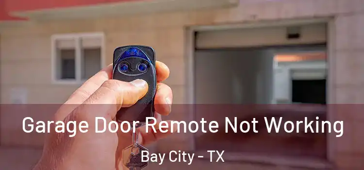 Garage Door Remote Not Working Bay City - TX