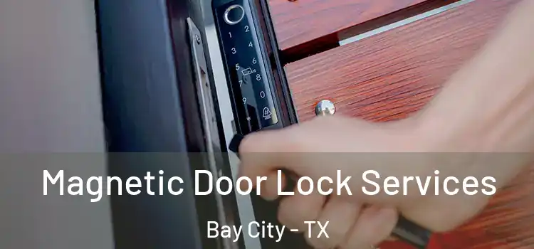 Magnetic Door Lock Services Bay City - TX